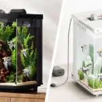 xiaomi mijia smart desktop fish tank review