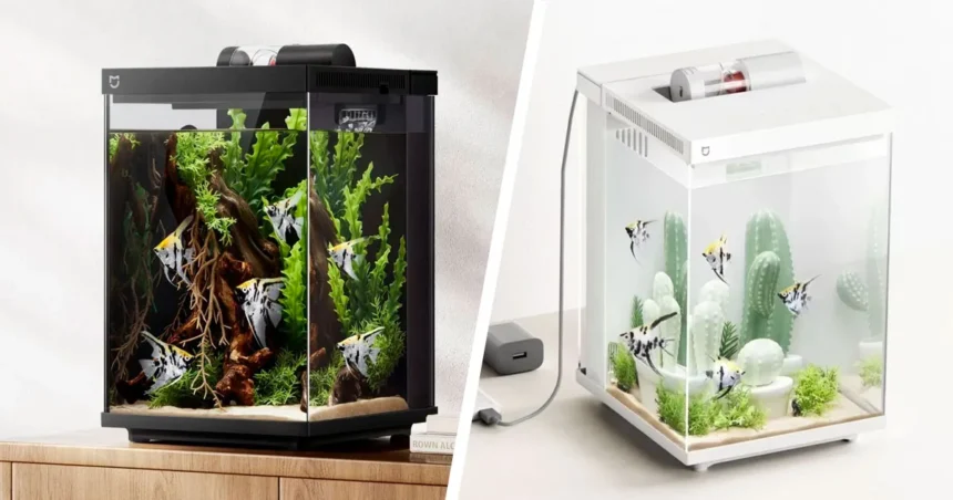 xiaomi mijia smart desktop fish tank review